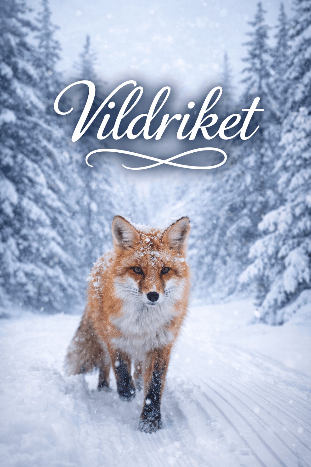 Vildriket